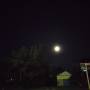 img_20251002_222802_849.jpg